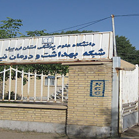 شبکه بهداشت نیر