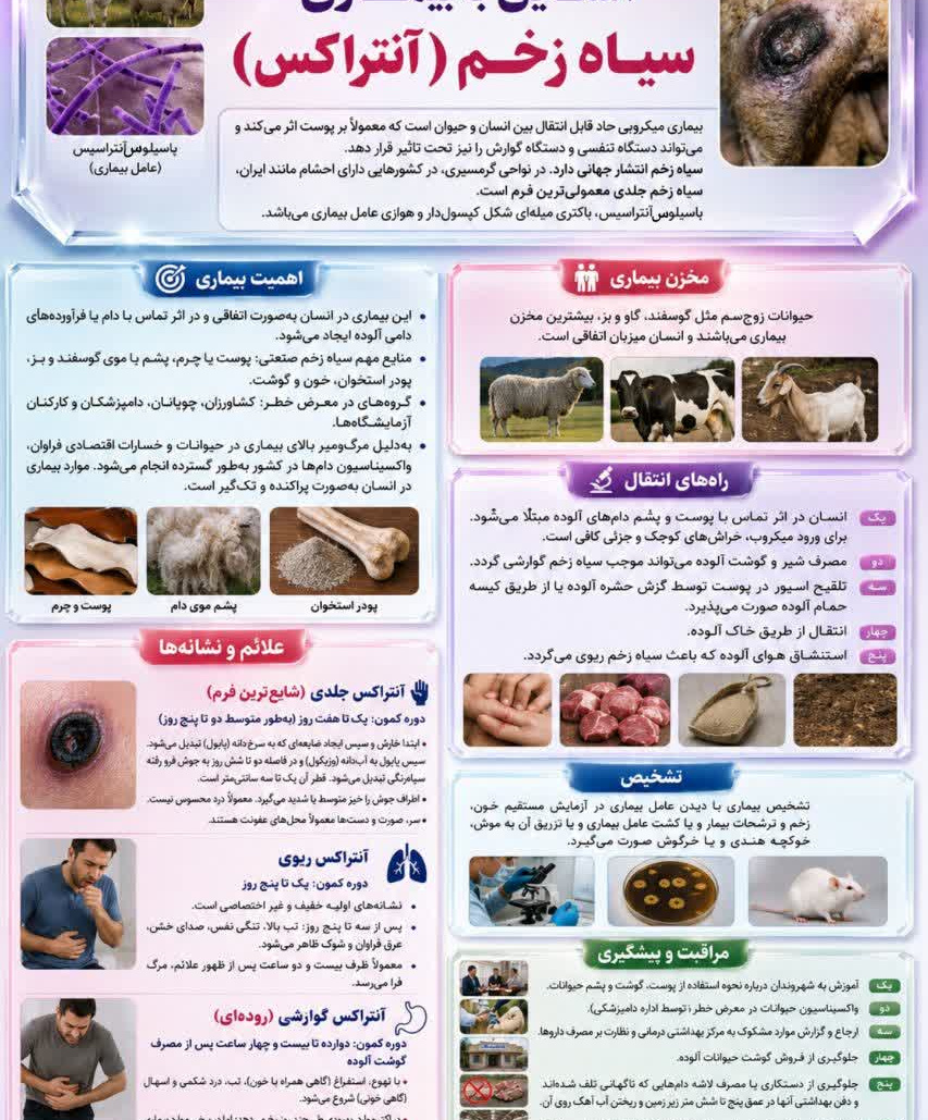  آشنایی با بیماری سیاه زخم (آنتراکس)