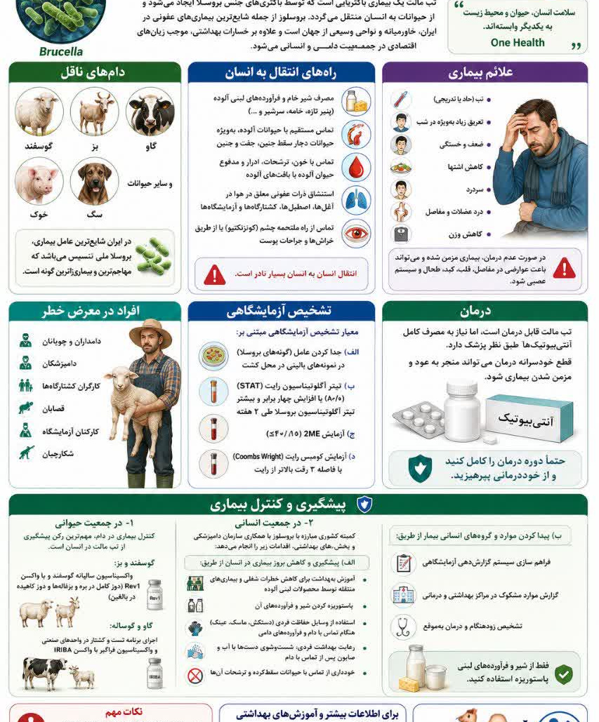  تب مالت (بروسلوز) بیمارى مشترک بین انسان و حیوان 