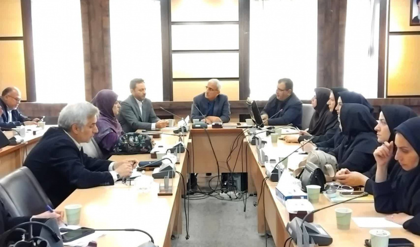 برگزاری دومین کارگروه پیشگیری از سقط عمدی جنین در دانشگاه علوم پزشکی اردبیل